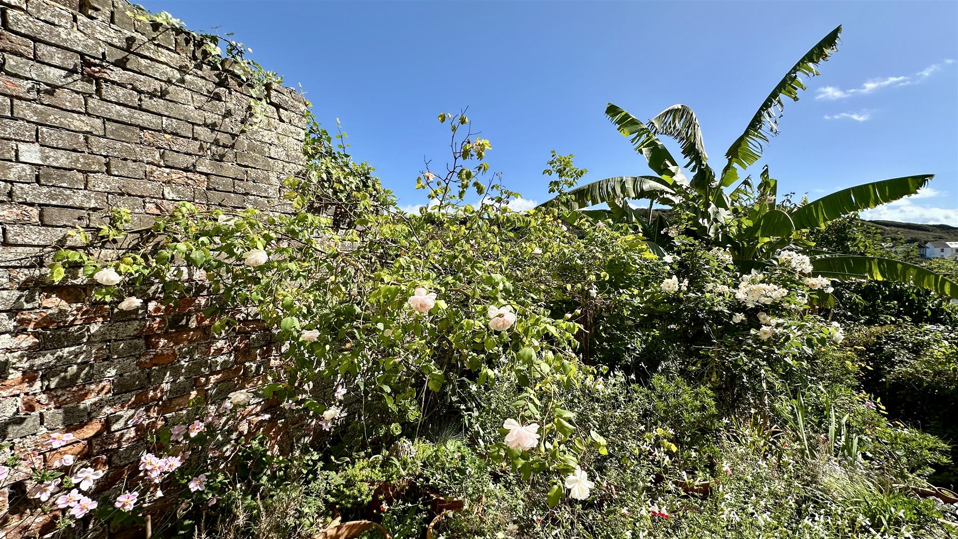 The Croft, Old Town, Hastings
